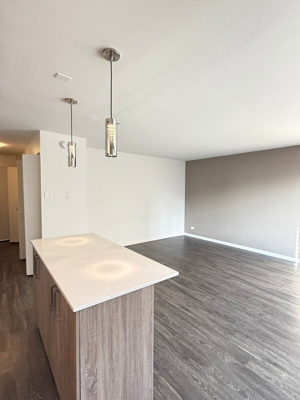 Building Photo - 1511 S Laflin St