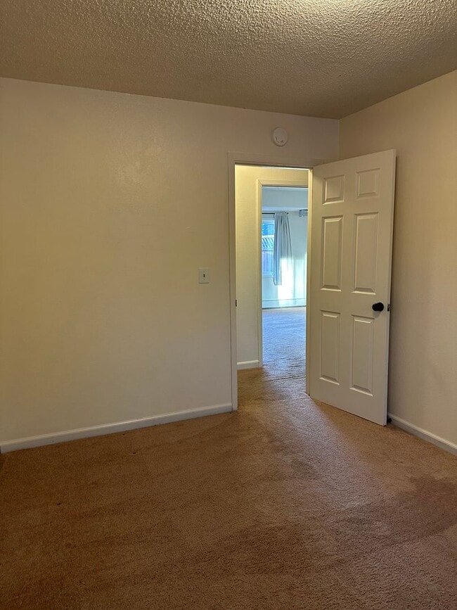 Building Photo - 8741 Flamingo Dr