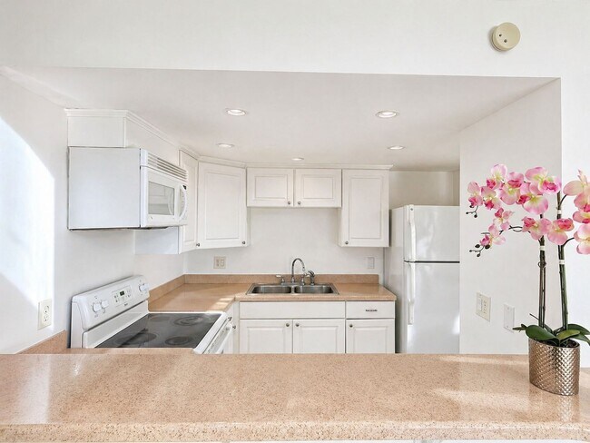 Building Photo - Welcome to Tampa Racquet Club – Where Comfort Meets Convenience!