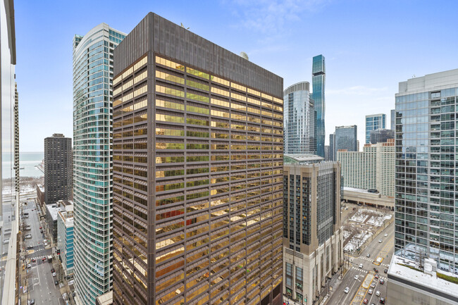 Building Photo - Beautiful streeterville condo