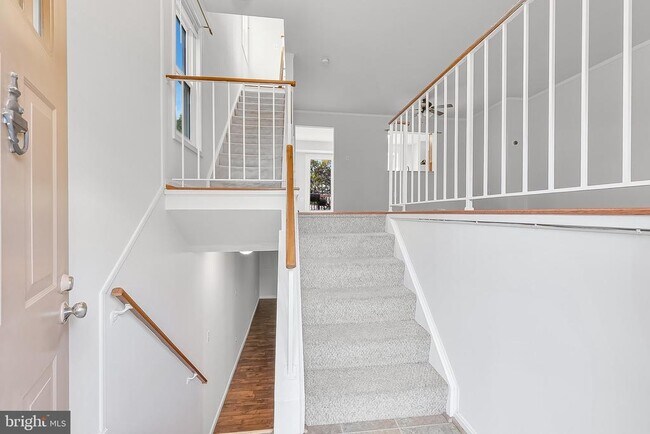 Building Photo - 7353 St Thomas Loop