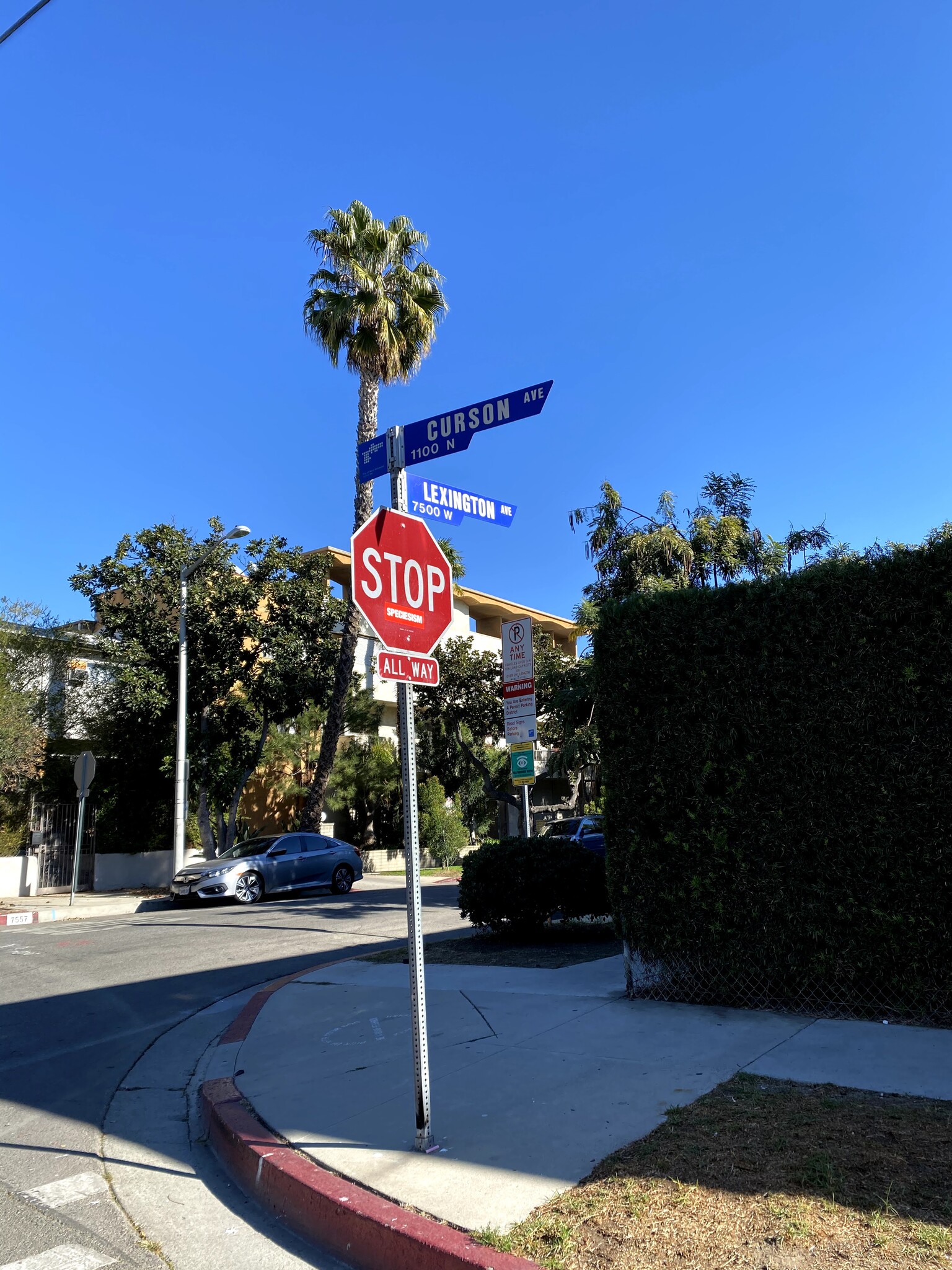 Building Photo - 1173 N Curson Ave