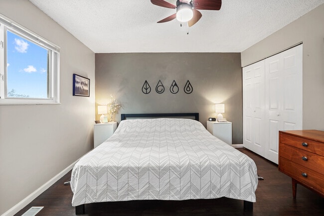 Building Photo - 4806 Turquoise Circle Colorado Springs, CO...