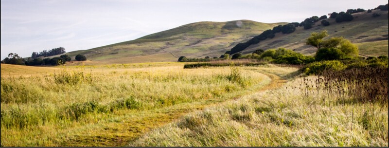 Building Photo - 231 Goldback Ct