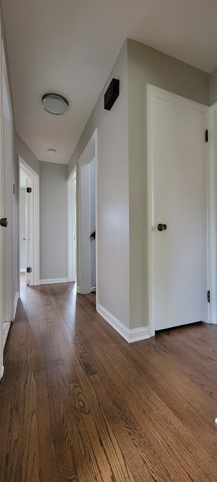 Building Photo - 4404 Marseilles St
