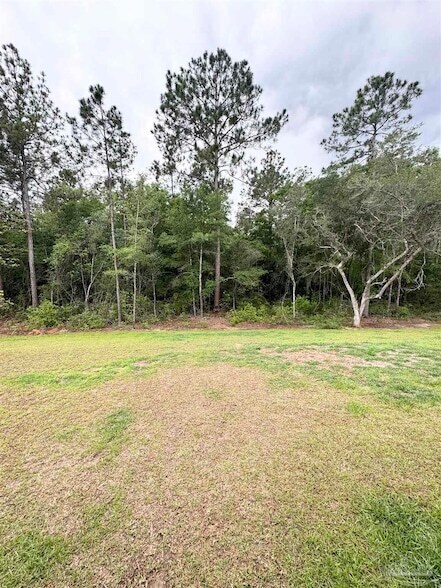 Building Photo - 3095 Silver Maple Dr