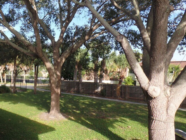 Building Photo - Spacious one-bedroom near Pinellas Trail and Azalea Rec area