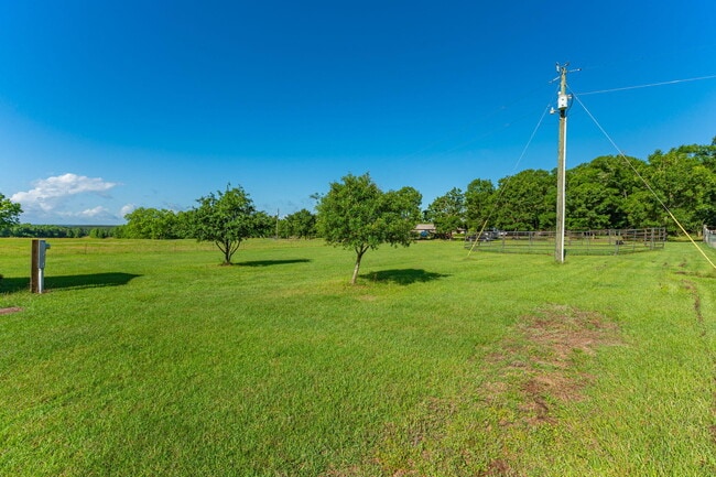 Building Photo - 2295 Bermuda Ln
