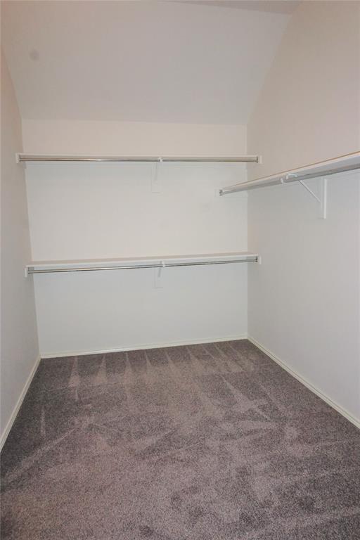 Building Photo - 12620 Summerwood Dr