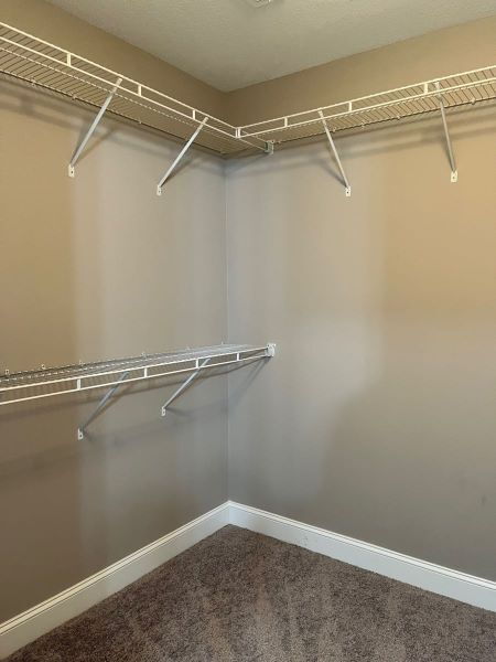 Building Photo - Ely Park Subdivision 3 bdrm/2.5 bath