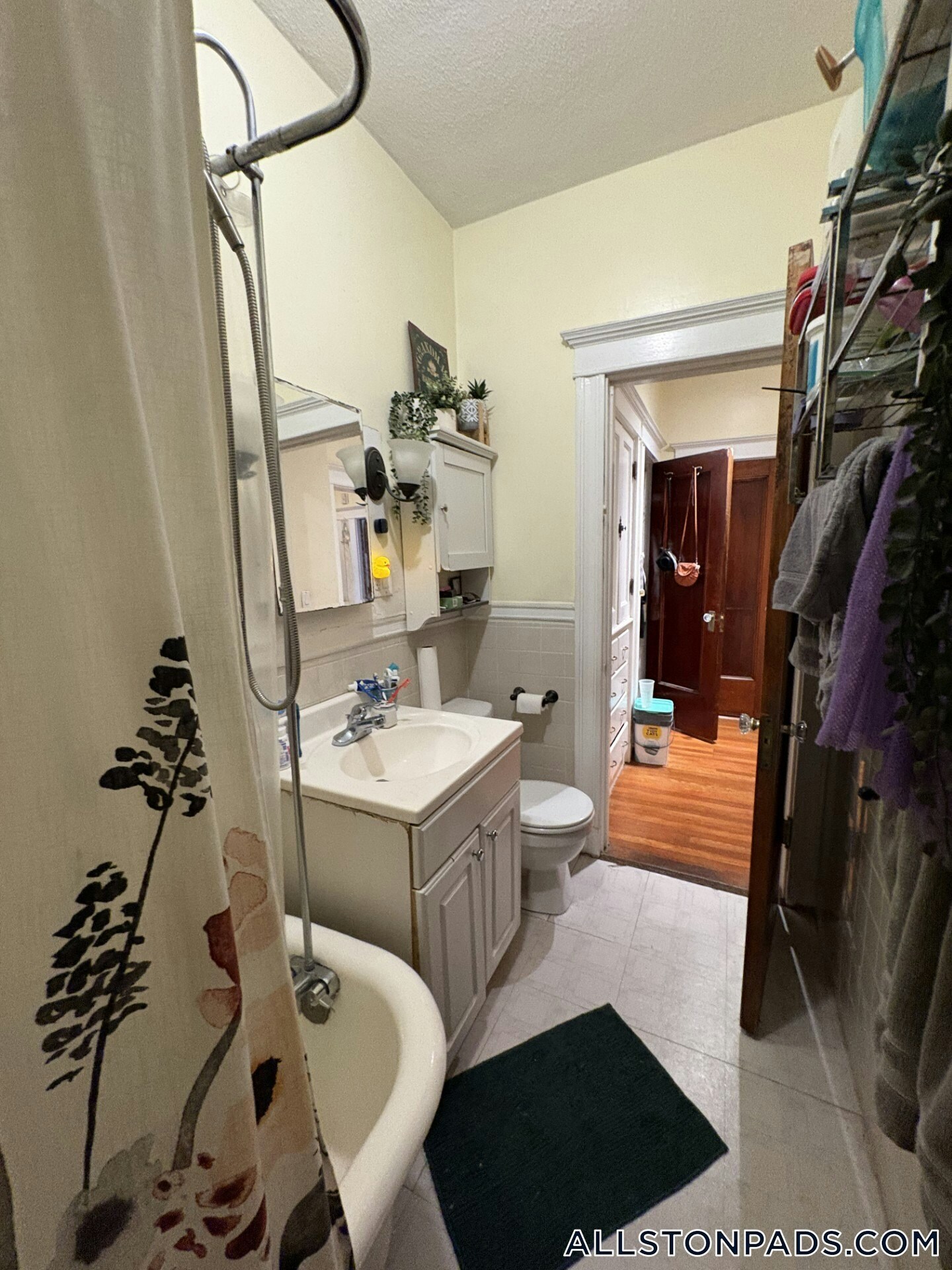 Building Photo - 1251 Commonwealth Ave