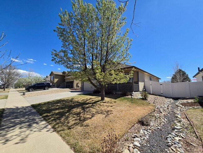 Building Photo - Spacious 5B/3B with Finished Basement Now Available!