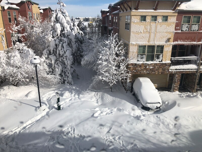 Building Photo - 13516 Via Varra