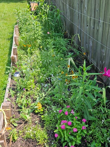 Pollinator Garden - 6483 Gaddis Dr