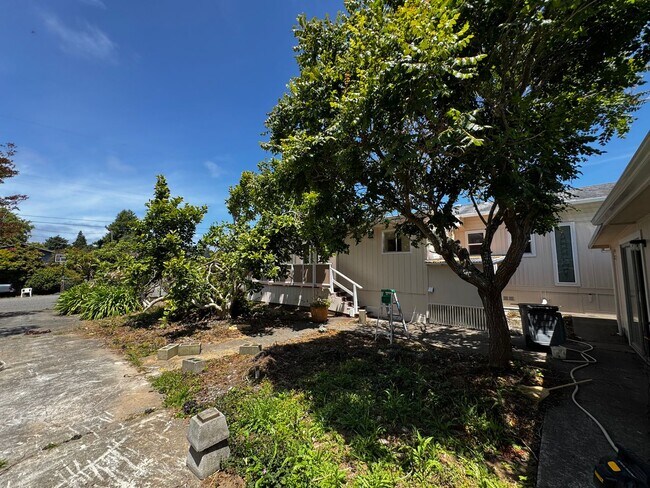 Building Photo - Pet-friendly Home located in sunny Ridgewood