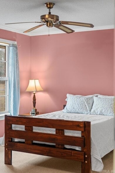 Building Photo - 12313 Jacksonville-Cato Rd