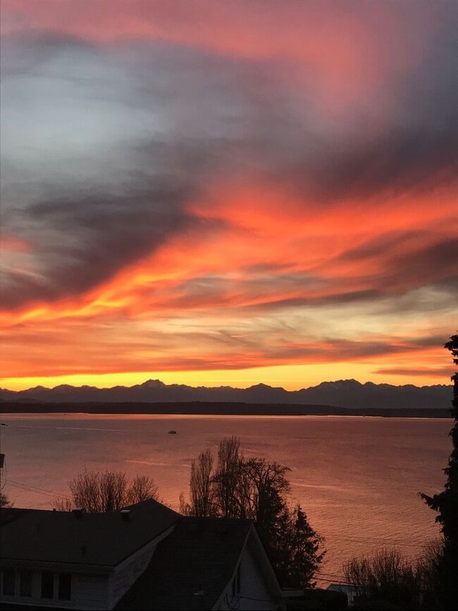 Building Photo - Stunning Sound & Olympic Mountain View Home in North Admiral