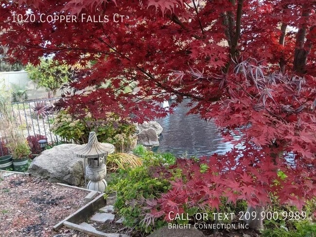 Building Photo - 1020 Copper Falls Ct