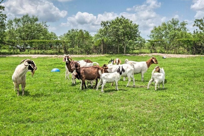 Building Photo - 15805 Richards Dr