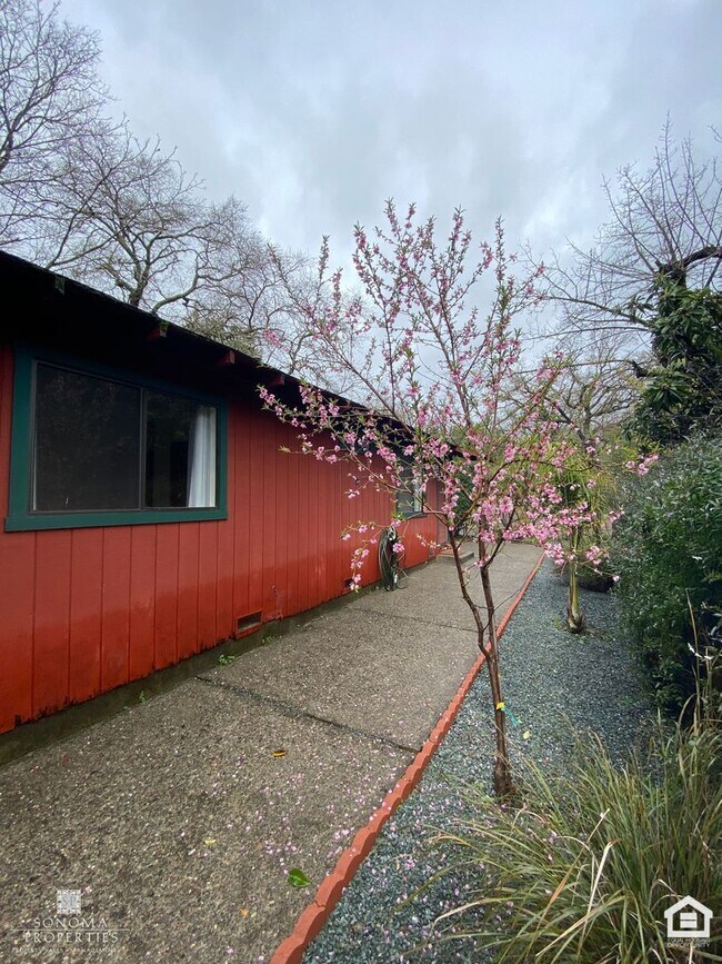 Building Photo - Charming  2BD/2BA Home in Sonoma