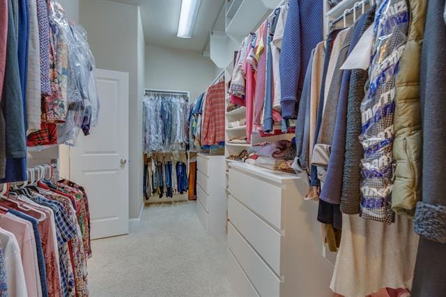 Building Photo - 528 Sandy Ln