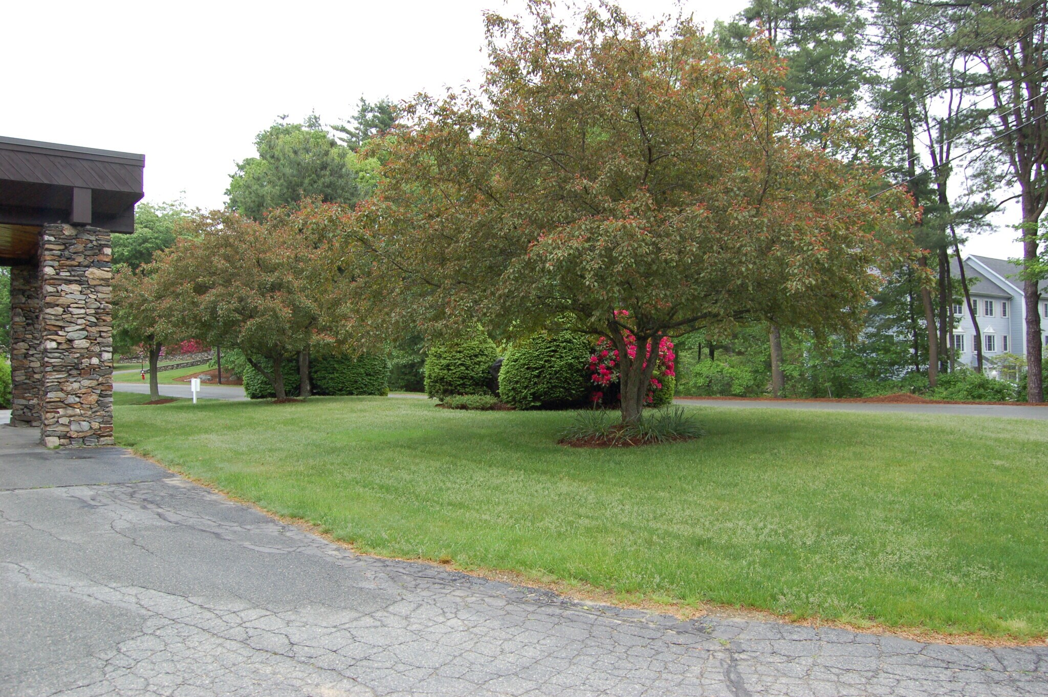 Building Photo - 181 Littleton Rd
