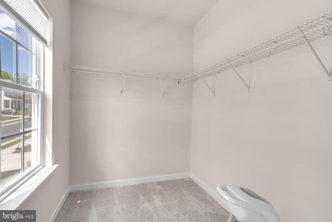 Building Photo - 2053 Whithorn Hl