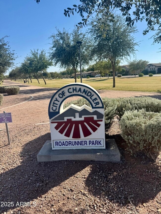 Building Photo - 3641 E Kingbird Pl