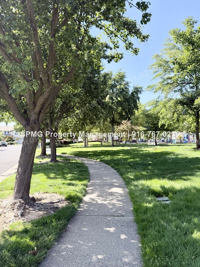Building Photo - Beautiful 4 Bed / 3 Bath Home in Prime Roseville Location – Across from Park!