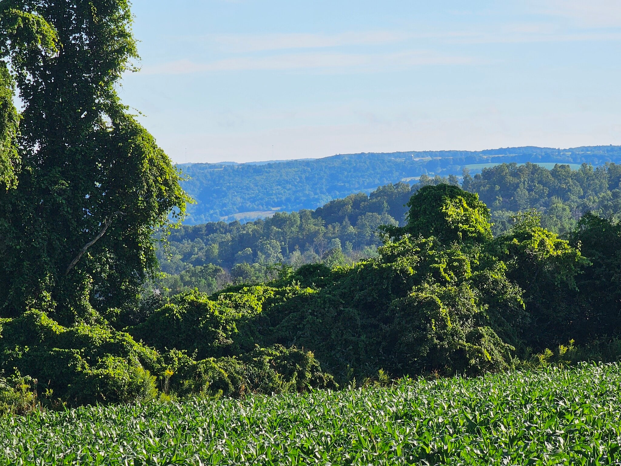 Building Photo - 8152 Wilson Karr Rd
