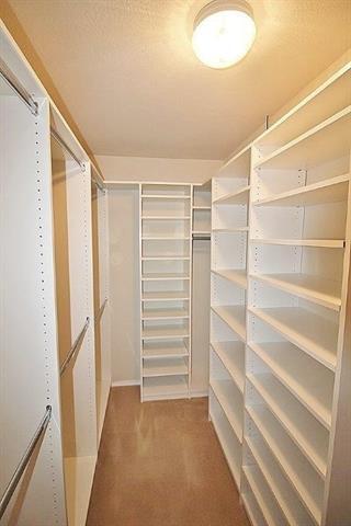 Building Photo - 217 Silver Spur Dr