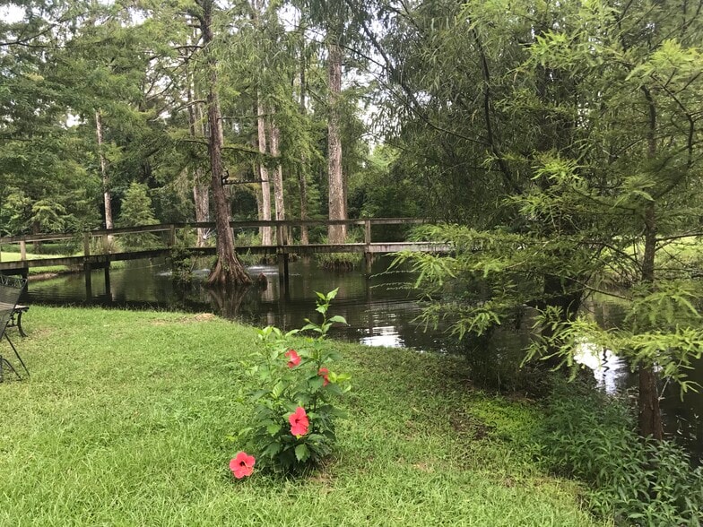 View of pond from living room - 17587 Old Covington Hwy