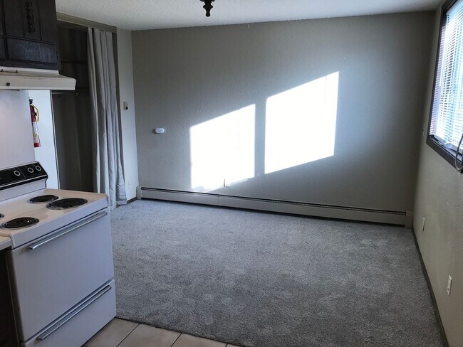 Building Photo - Main Floor Studio in St. Paul - Great Location