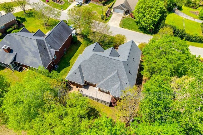 Building Photo - 1126 Blowing Rock Cove
