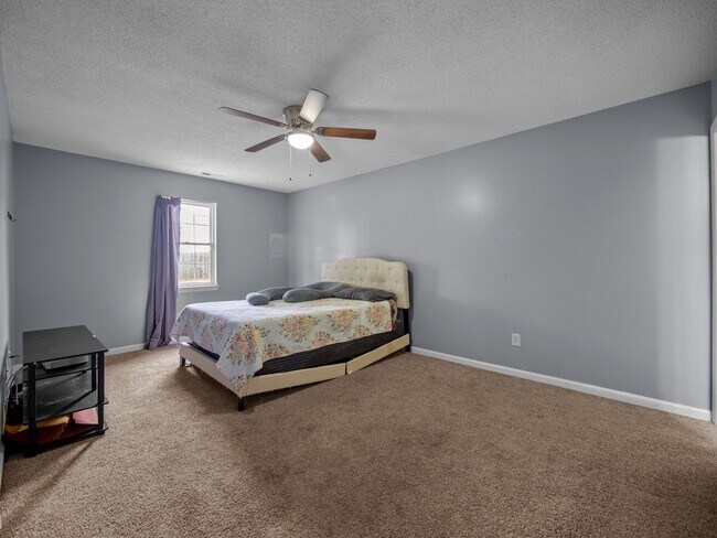 Building Photo - 1020 Furia Dr