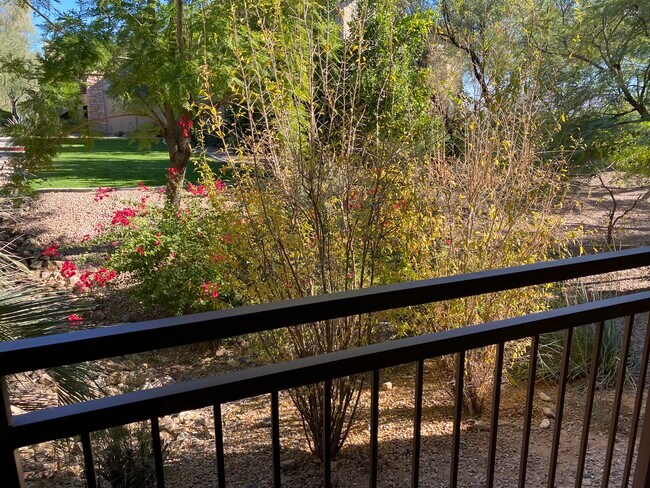 View from 2nd patio - 16801 N 94th St