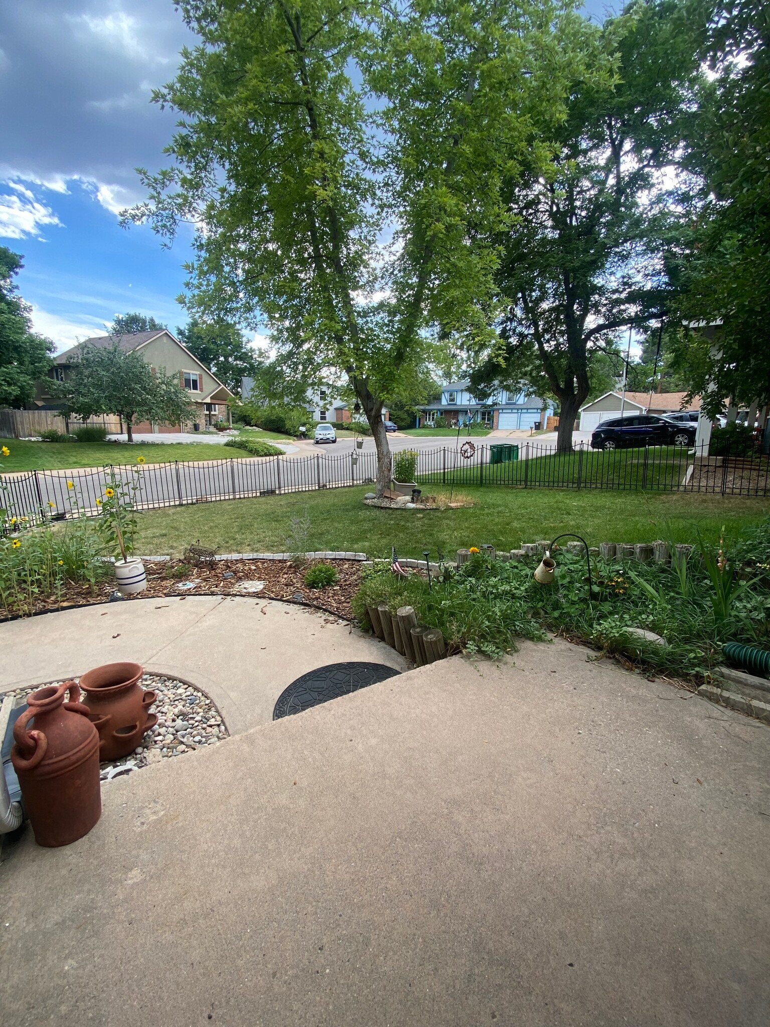 Front fenced yard - 11343 W Berry Pl