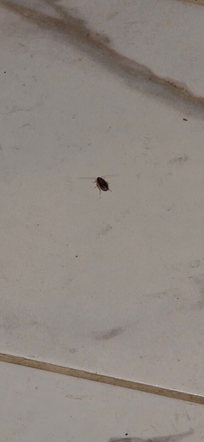 Building Photo - 3909 Rosecrest Ave