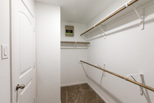 Building Photo - 29311 Dunns Creek Ct
