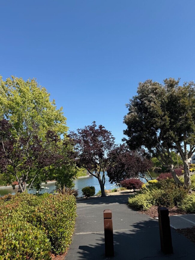 Building Photo - Alameda's most sought after gated communit...