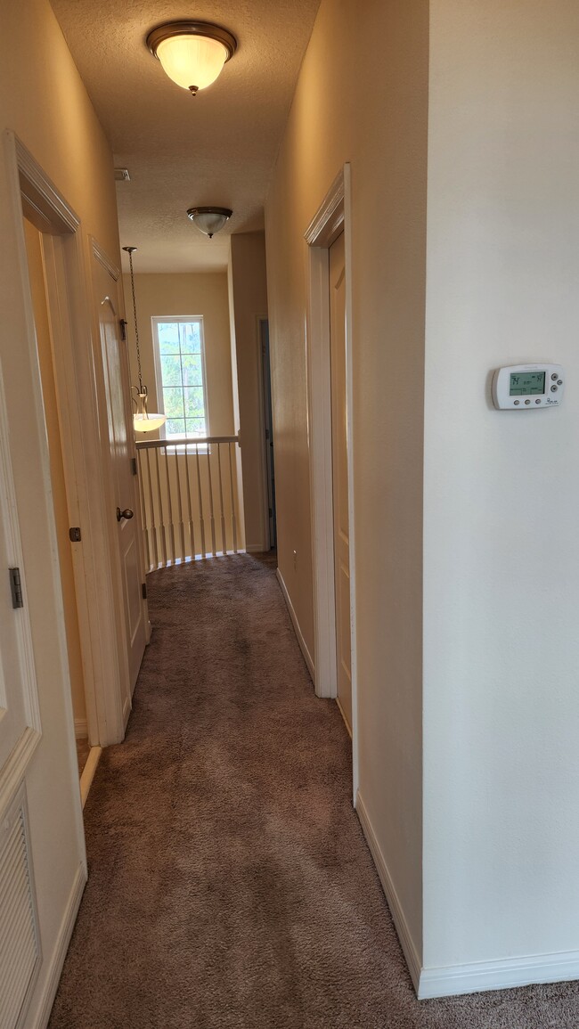 carpeted Upstairs Hallway - 233 Tarracina Way