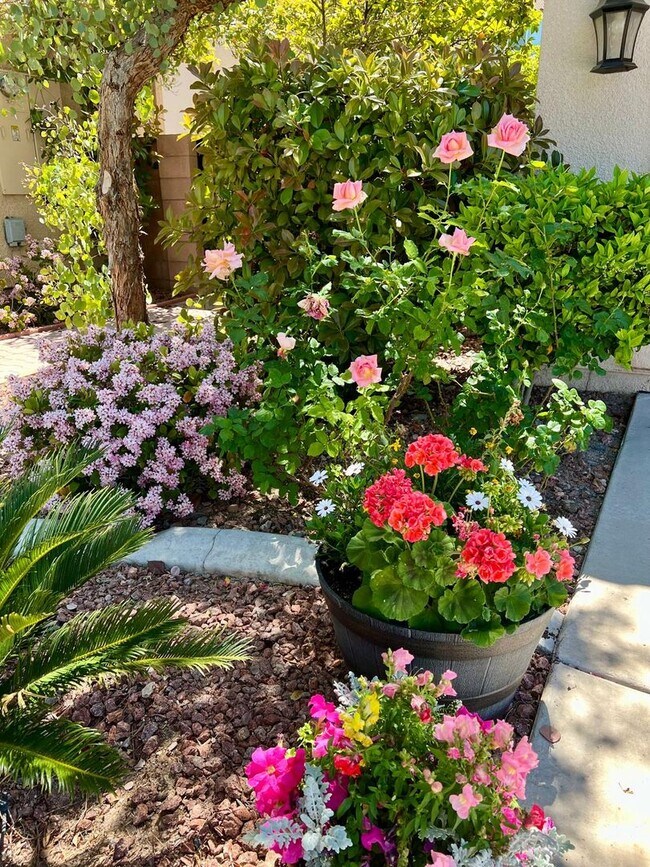 Building Photo - Stunning single-story home in picturesque community!