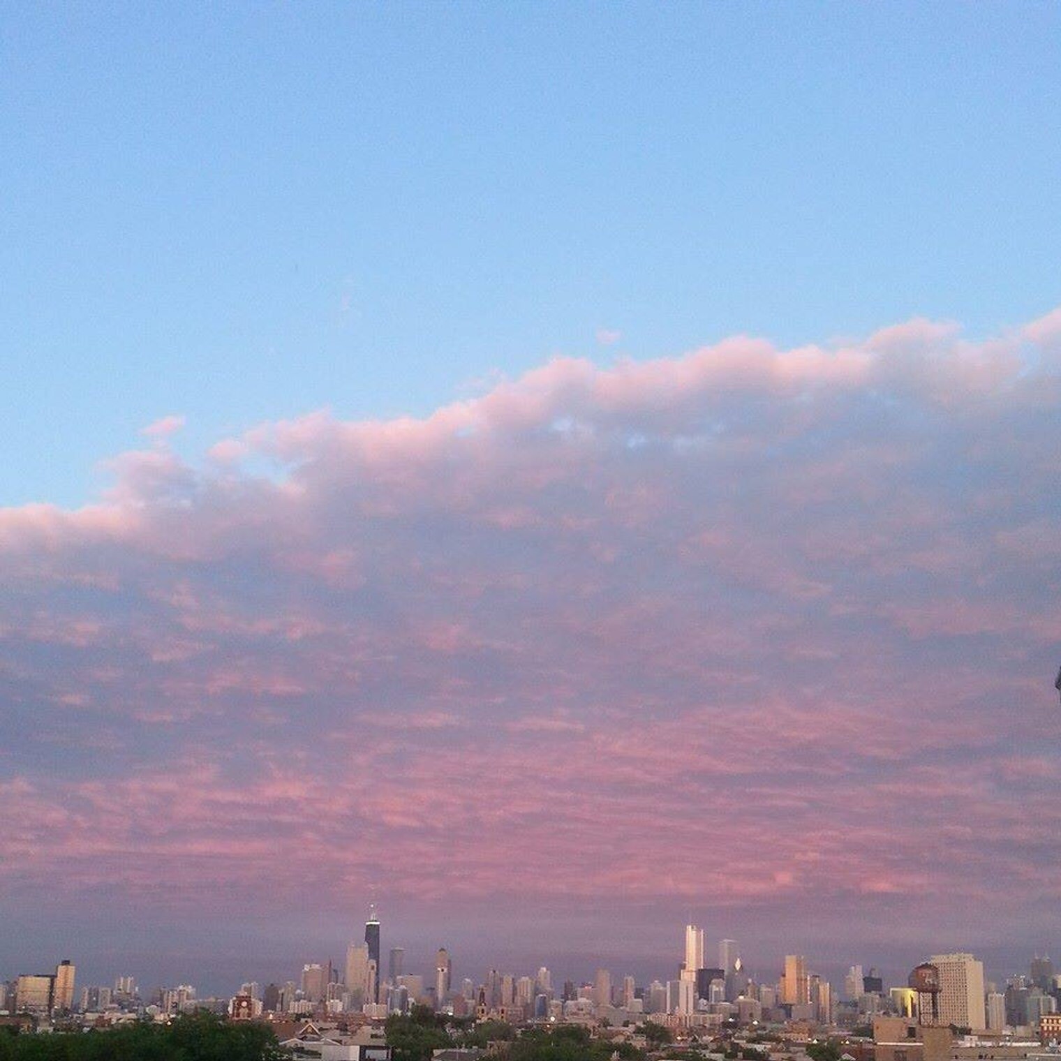 Building Photo - 1541 N Milwaukee Ave