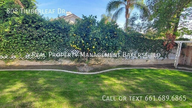 Building Photo - 808 Timberleaf Dr