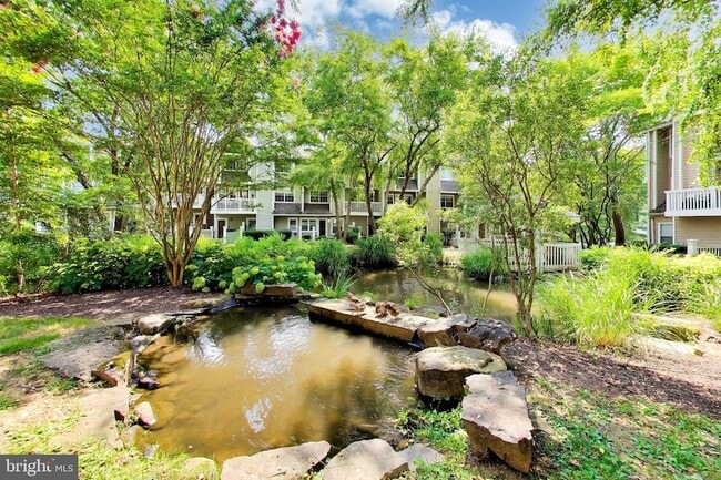 Building Photo - 10823 Hampton Mill Terrace