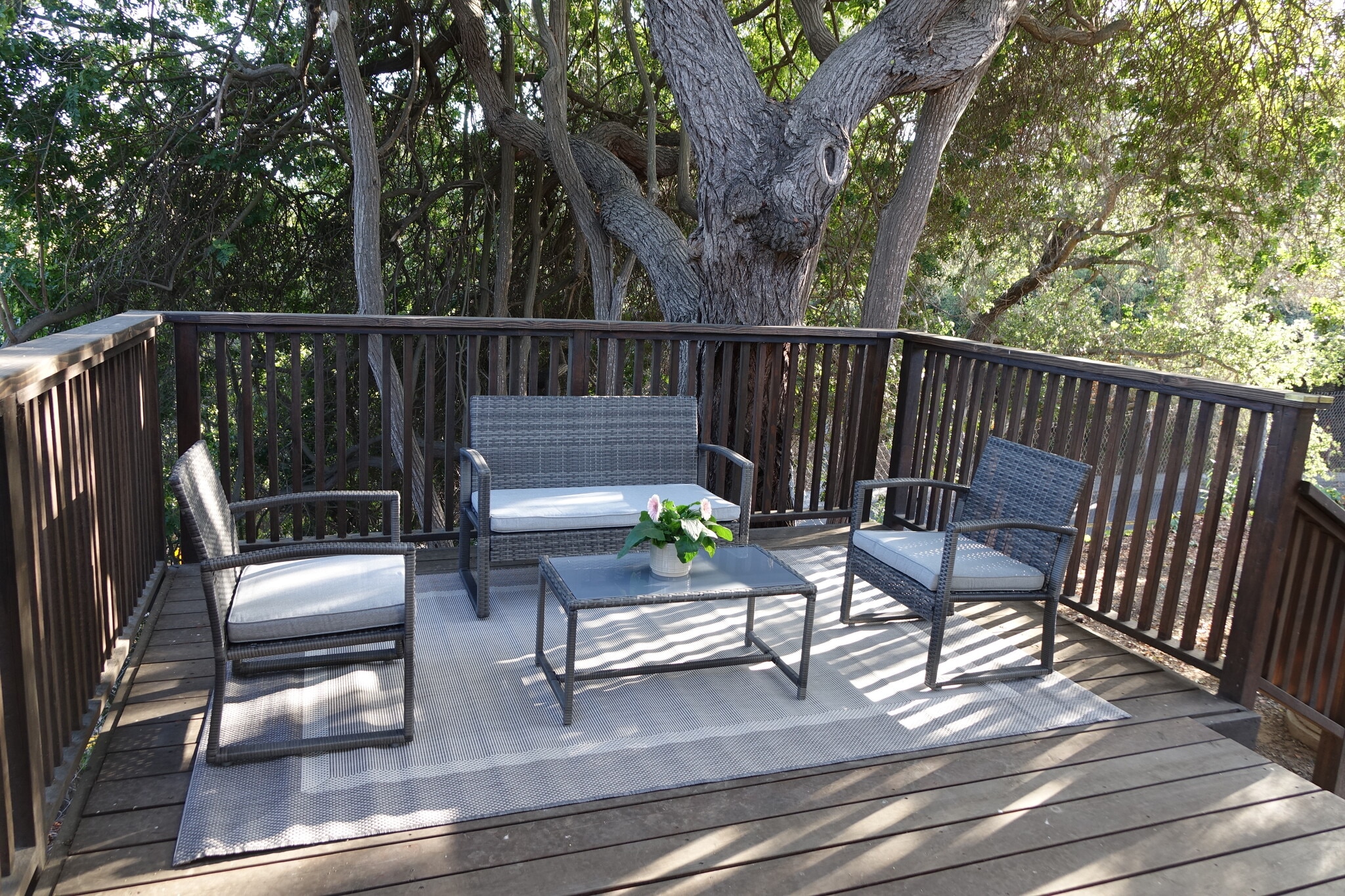 Private deck with patio furniture - 2620 Tallant Rd