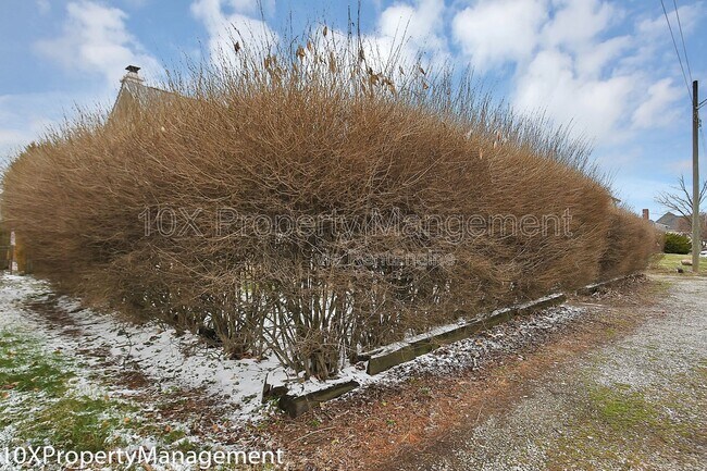 Building Photo - 849 Ruby Ave