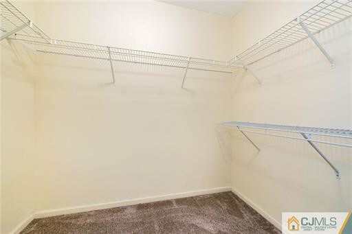 Building Photo - 2906 Ridgefield Ct