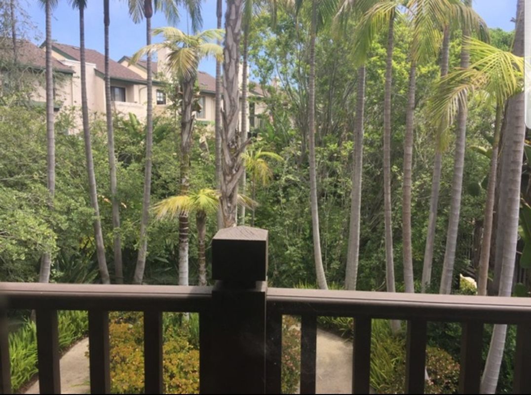 Building Photo - 8694 Villa La Jolla Dr