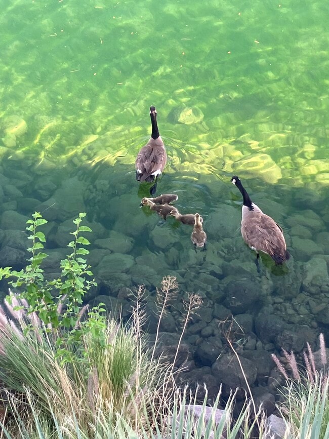 Building Photo - 1800 Club House Dr